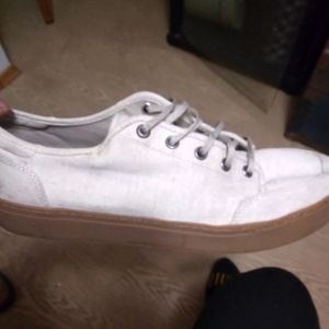 Toms mens shoe